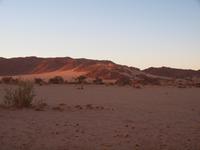 im Namib-Naukluft Nationalpark - Sesriem
