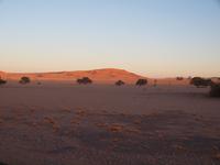 im Namib-Naukluft Nationalpark - Sesriem