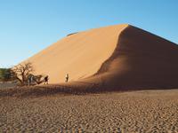 im Namib-Naukluft Nationalpark - Düne 45