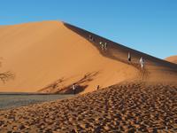 im Namib-Naukluft Nationalpark - Düne 45