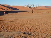 im Namib-Naukluft Nationalpark - Sesriem