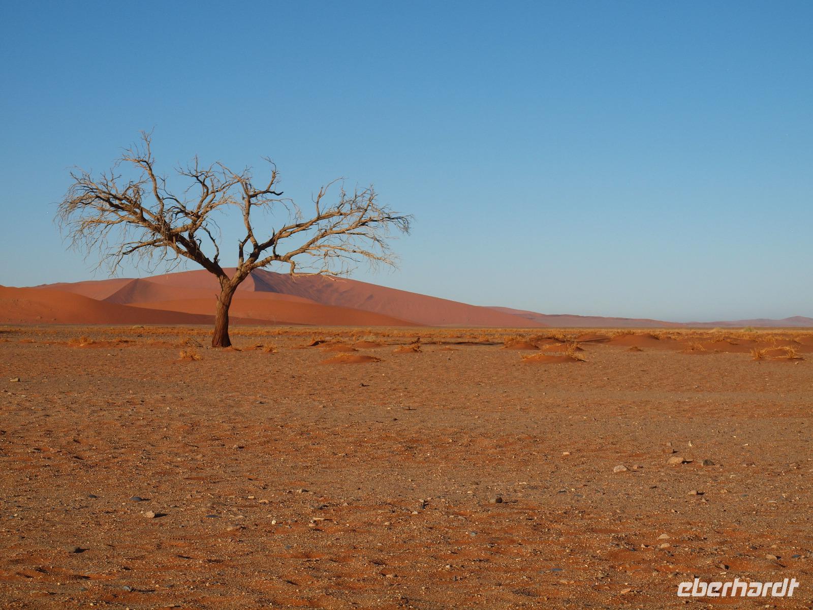 im Namib-Naukluft Nationalpark - Sesriem