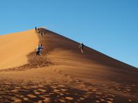 im Namib-Naukluft Nationalpark - Düne 45