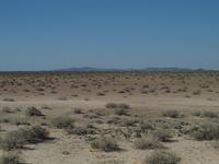 im Etosha Nationalpark