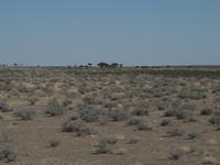 im Etosha Nationalpark