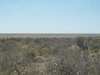 im Etosha Nationalpark