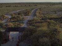 im Etosha Nationalpark