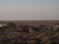 im Etosha Nationalpark