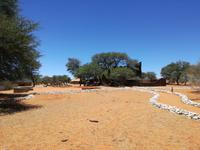 im Intu Afrika Kalahari Reservat - Camelthorn Lodge