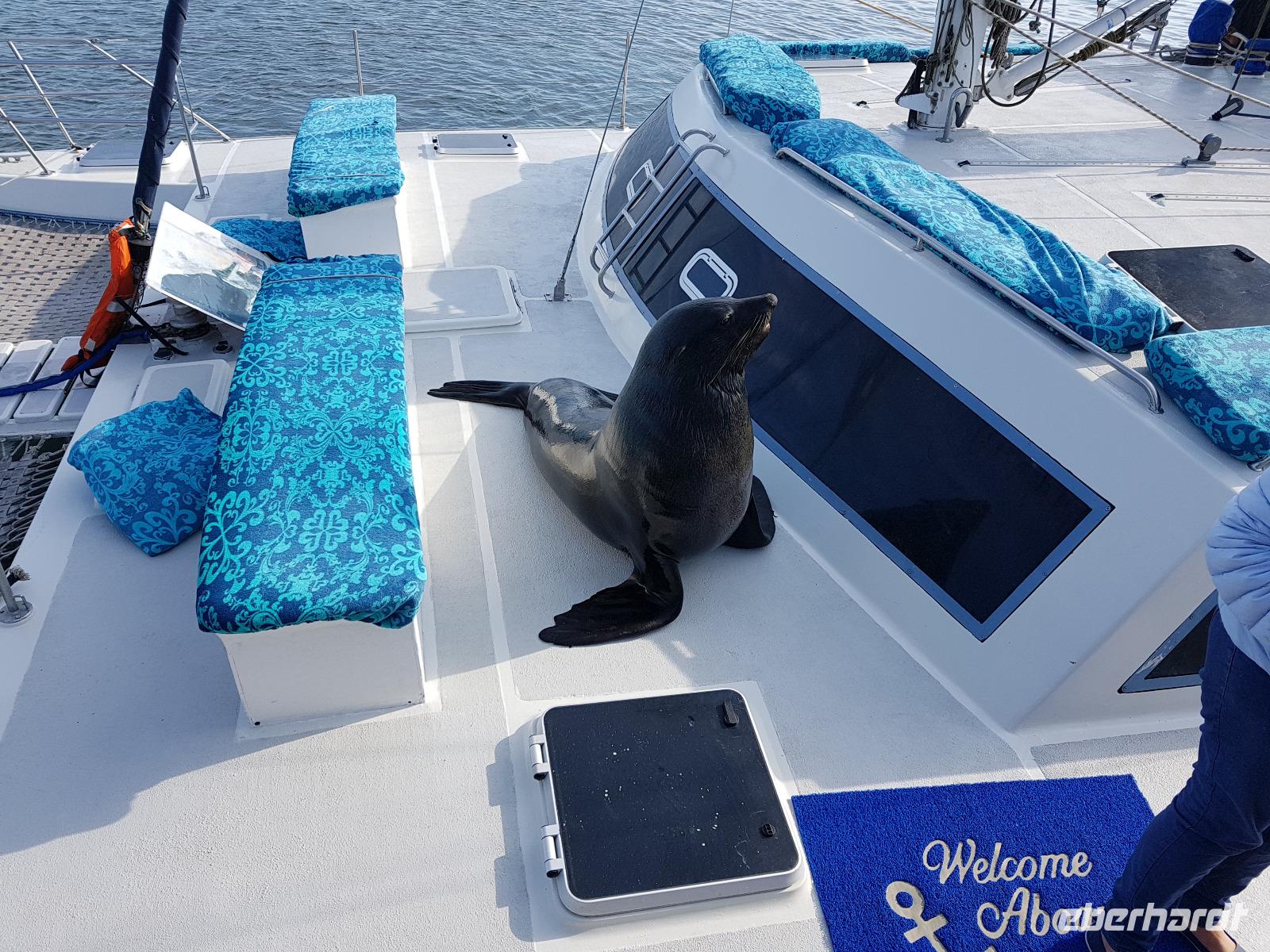 Namibia, Malvis Bay, Bootstour