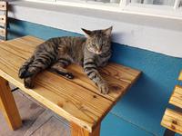 Namibia, Canyon Roadhouse