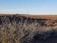 Namibia, Namseb Lodge Gelände