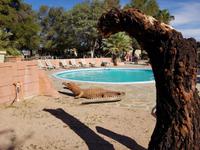 Namibia, Hammerstein Lodge