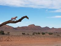 Namibia, Hammerstein Lodge