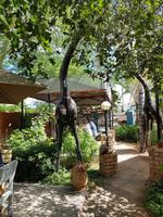 Namibia, Aj-Aiba Lodge