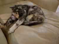 Namibia, Toshara Lodge