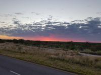 Namibia, Etoscha NP, Sonnenaufgang