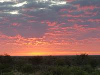 Namibia, Etoscha NP, Sonnenaufgang