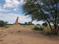 Namibia, Termitenhügel