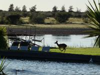 Namibia, Mariental, Napa Lange Lodge
