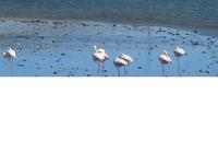 Namibia, Lüderitz Bucgt