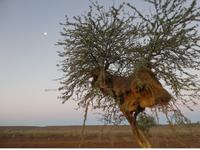 Namibia, Namseb Lodge