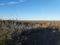 Namibia, Namseb Lodge, seit 5 Jahren Dürre