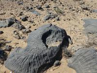 Namibia, Napfverwitterung im schwarzen Kalk