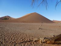 Namibia, Sossusvlei, Düne 45