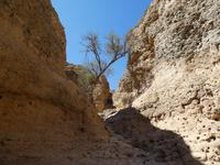 Namibia, Sesriem Canyon