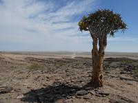 Namibia, unterwegs