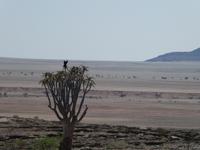 Namibia, unterwegs