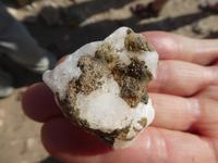 Namibia, Algen im Stein