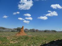 Namibia, unterwegs, Lektion Termitenhügel