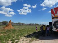 Namibia, unterwegs, Lektion Termitenhügel