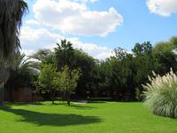 Mount Etjo wunderschöner Garten