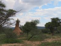 Mount Etjo Game Drive