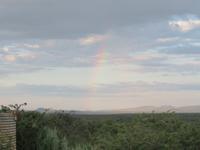Regenbogen beim Game Drive