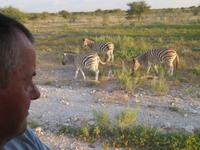 Etosha