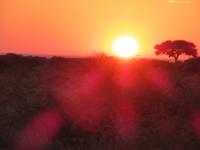 Etosha Sonnenaufgang