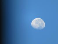 Mond über dem Etosha NP