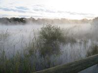 Hakusembe River Lodge Morgenstimmung