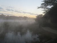 Hakusembe River Lodge Morgenstimmung