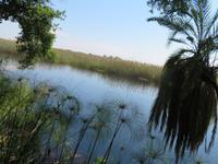 wunderbare Landschaft am Kavango
