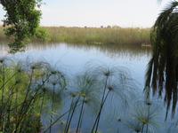 wunderbare Landschaft am Kavango