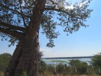 Blick von Botswana nach Namibia