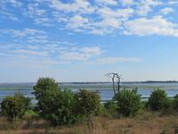 Chobe NP