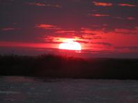Chobe Bootsfahrt Sonnenuntergang