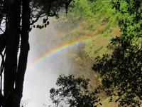 Vic Falls Regenbogen