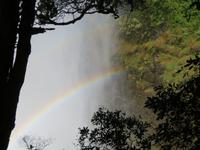 Vic Falls Regenbogen